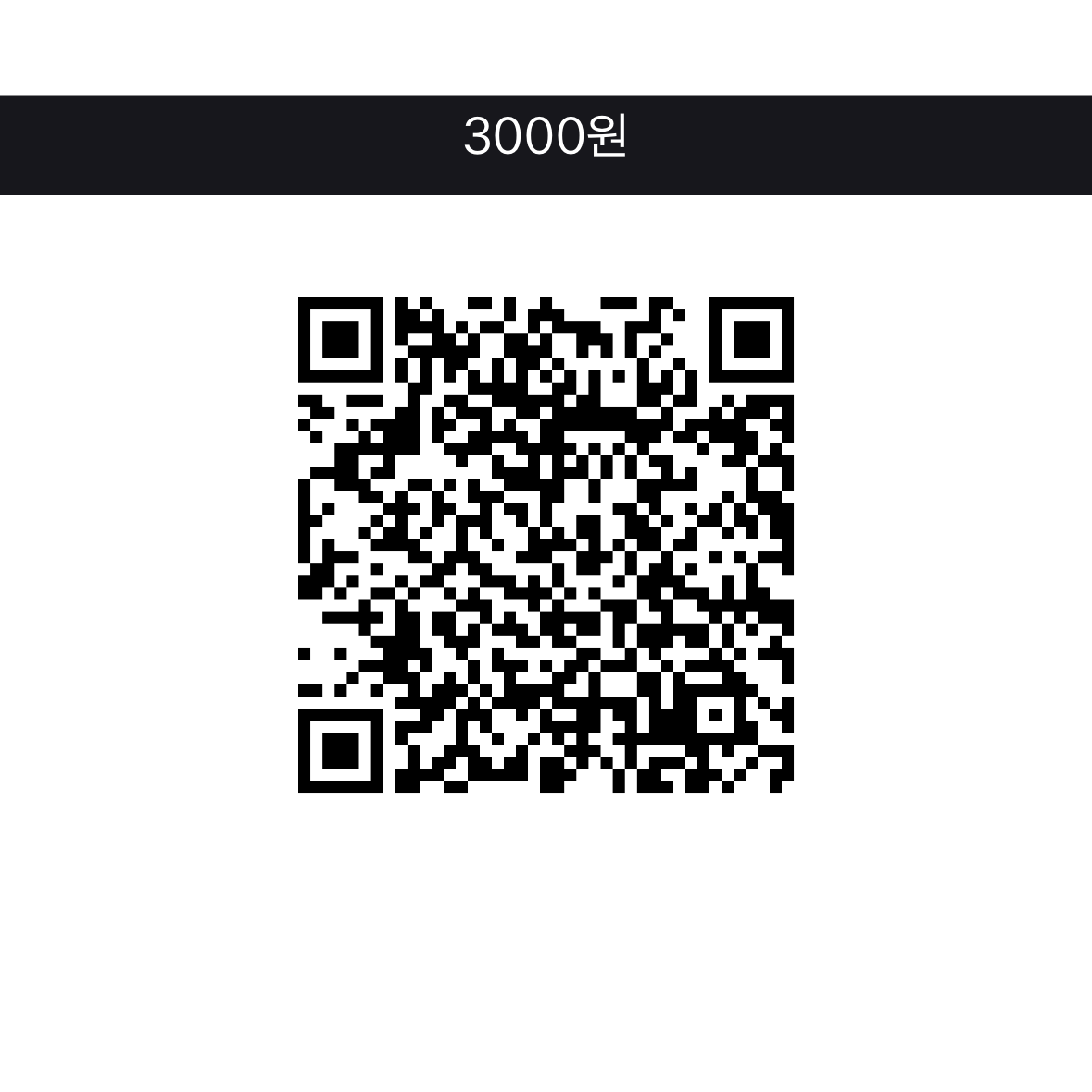토스 후원 QR 코드 — 3,000원
